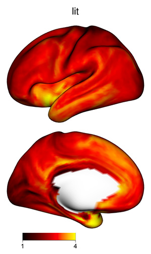 Lit surface plot